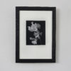 Set of six black and white photographic prints of flowers by Juanita Kerman