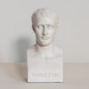 Portrait busts of Napoleon Bonaparte after Antoine Chaudet, by Anthony Redmile